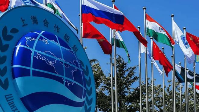 度得到真正的实惠莫迪发文感谢中国OG真人全员赞成天津宣言通过印(图3)